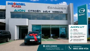 AION Garansi Seumur Hidup vs BYD Garansi 8 Tahun: Mengapa Lifetime Warranty Menjadi Nilai Tambah bagi Konsumen?